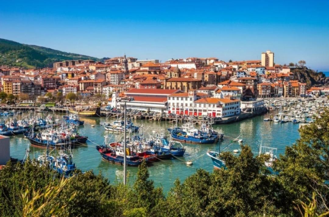 Txiki Apartment Bermeo Bagian luar foto